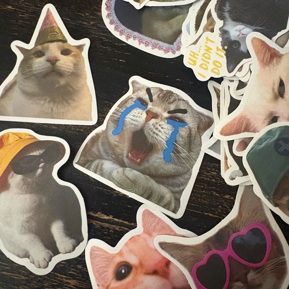 Cat Sticker Pack - Multicolor - Picture 3 of 9